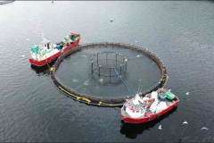 aquaculture (3)